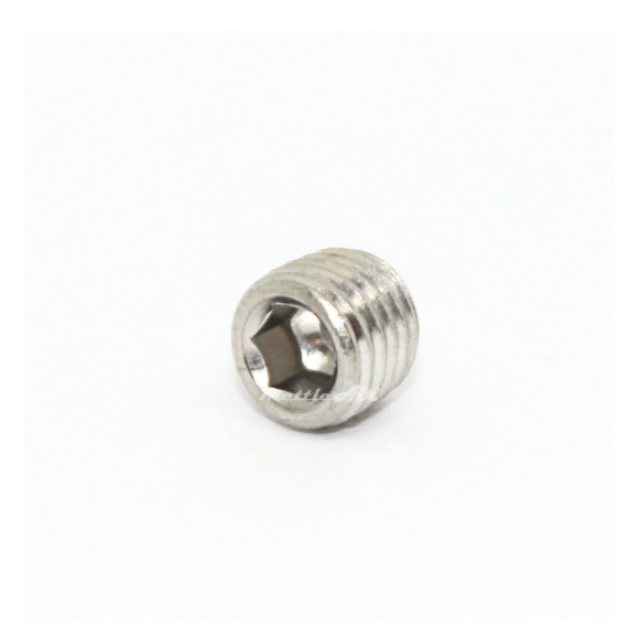 Stainless Steel 316L 1/16" NPT Male Countersunk Plug