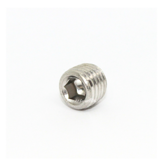 Stainless Steel 316L 1/16" NPT Male Countersunk Plug
