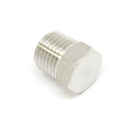Stainless Steel 316L 1/4" NPT Male Hex Head Plug