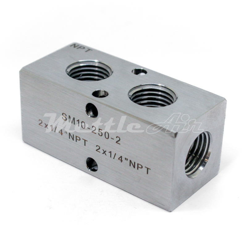 Stainless Steel 316L Manifold 2 x 1/4" NPT In - 2 x 1/4" NPT Out