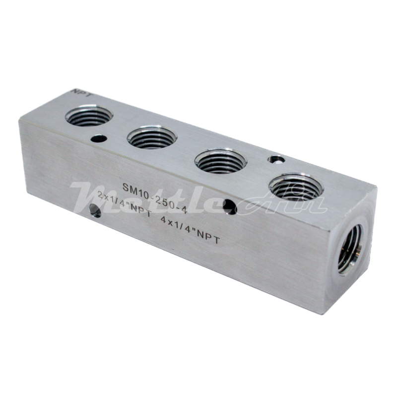 Stainless Steel 316L Manifold 2 x 1/4" NPT In - 4 x 1/4" NPT Out