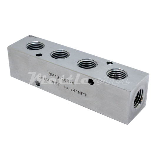 Stainless Steel 316L Manifold 2 x 1/4" NPT In - 4 x 1/4" NPT Out