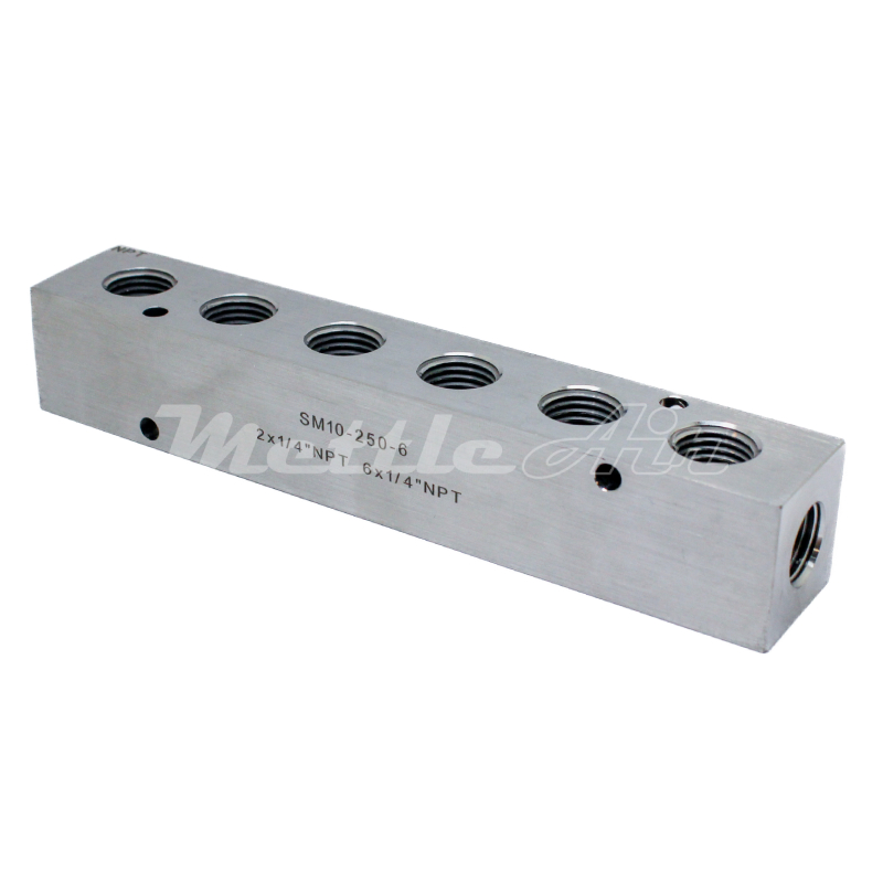 Stainless Steel 316L Manifold 2 x 1/4" NPT In - 6 x 1/4" NPT Out