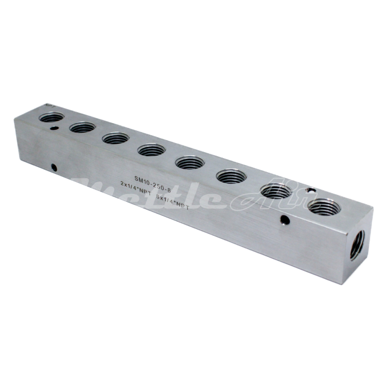 Stainless Steel 316L Manifold 2 x 1/4" NPT In - 8 x 1/4" NPT Out