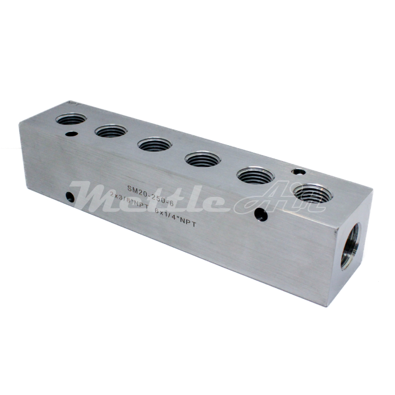 Stainless Steel 316L Manifold 2 x 3/8" NPT In - 6 x 1/4" NPT Out
