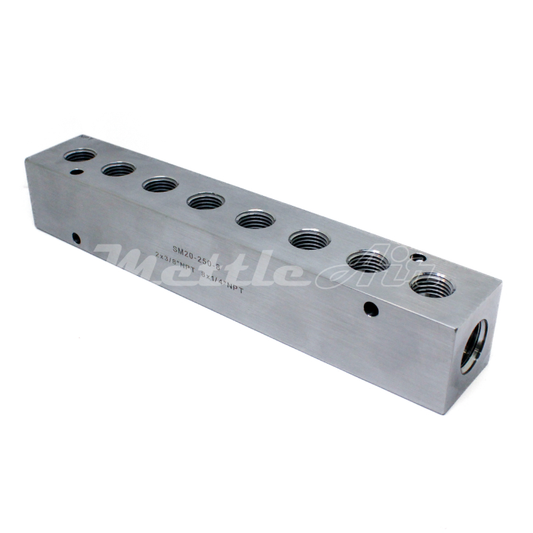 Stainless Steel 316L Manifold 2 x 3/8" NPT In - 8 x 1/4" NPT Out